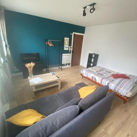 Dijon - Grand Studio Proche Parc Darcy & Gare Екстер'єр фото