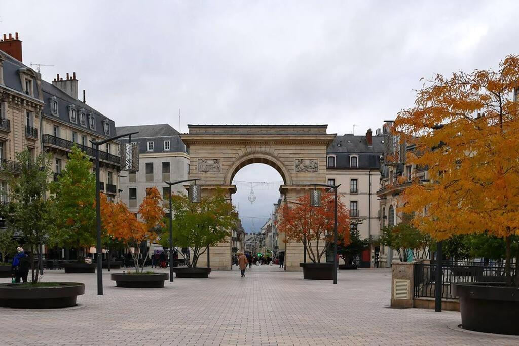 Dijon - Grand Studio Proche Parc Darcy & Gare Екстер'єр фото