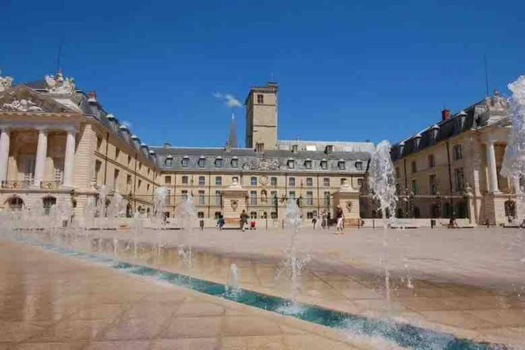 Dijon - Grand Studio Proche Parc Darcy & Gare Екстер'єр фото